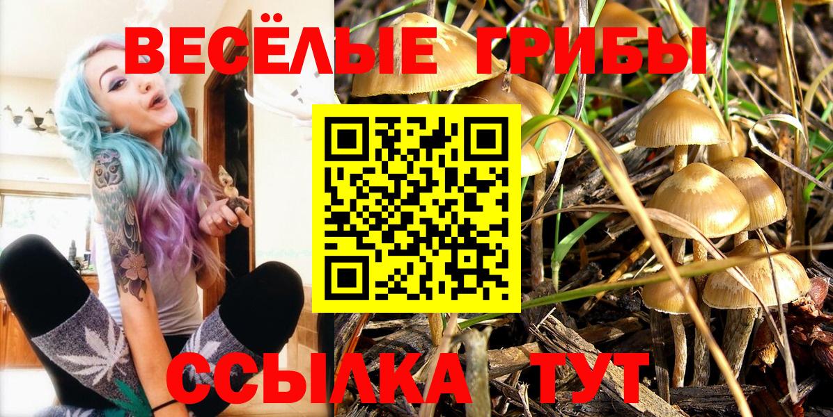 Богородск  Псилоцибиновые грибы мицелий  Вход с VPN  продажа наркотиков  Псилоцибиновые грибы Magic Shrooms 
